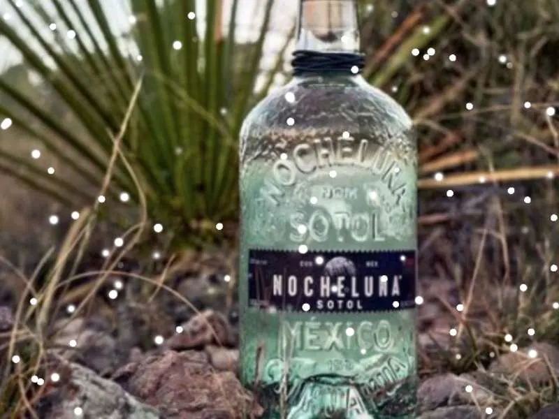 nocheluna-sotol